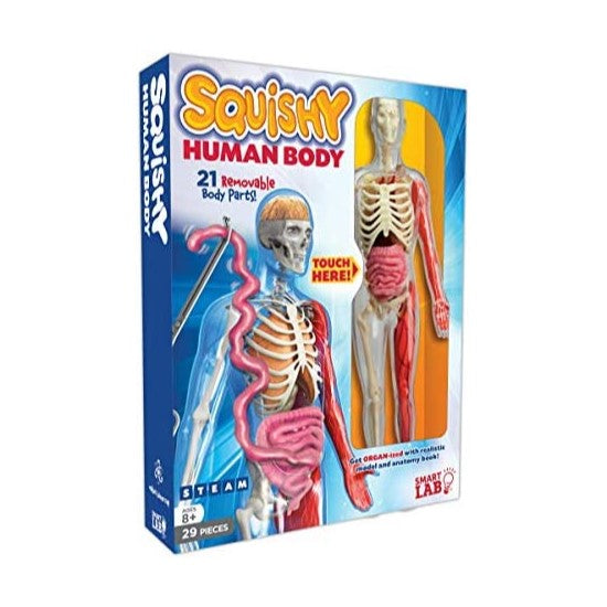 SQUISHY HUMAN BODY